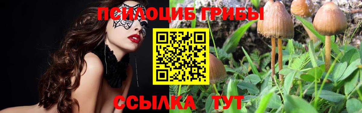 Псилоцибиновые грибы прущие грибы Ростов Великий
