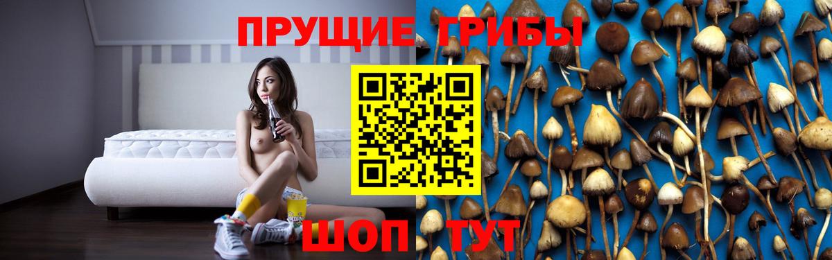 Псилоцибиновые грибы прущие грибы  наркошоп  Ростов Великий  Псилоцибиновые грибы Psilocybe  Вход с VPN 